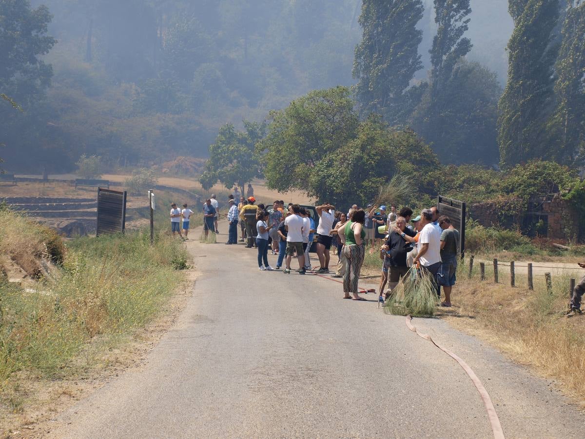 Incendio en Cepeda (Salamanca) 1/2