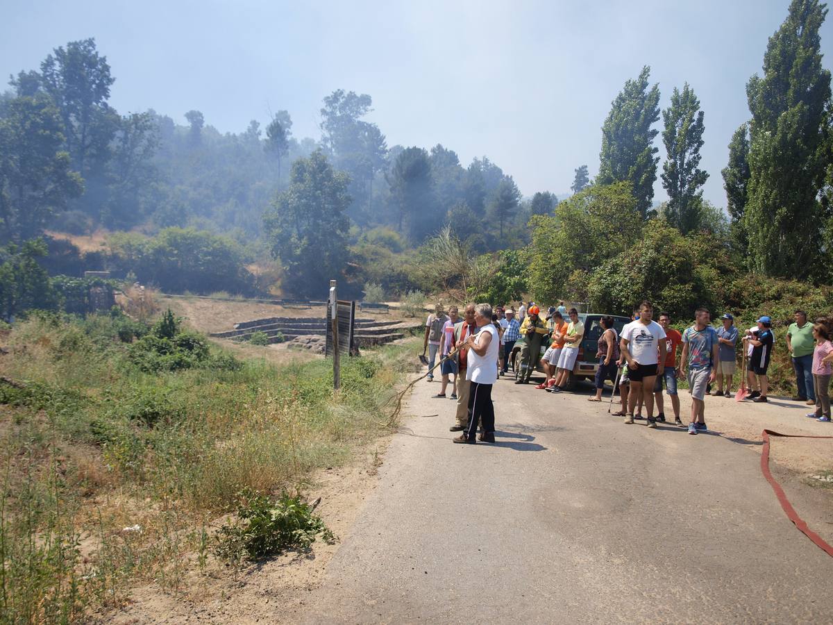 Incendio en Cepeda (Salamanca) 1/2