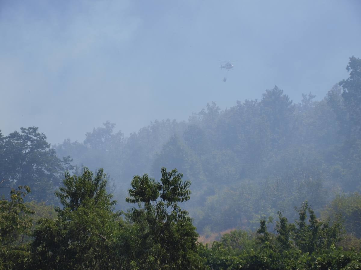 Incendio en Cepeda (Salamanca) 1/2