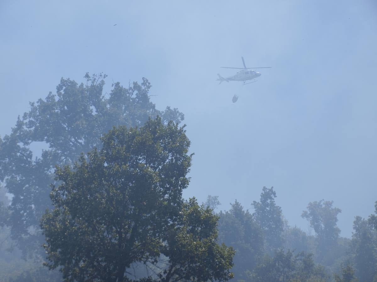 Incendio en Cepeda (Salamanca) 1/2