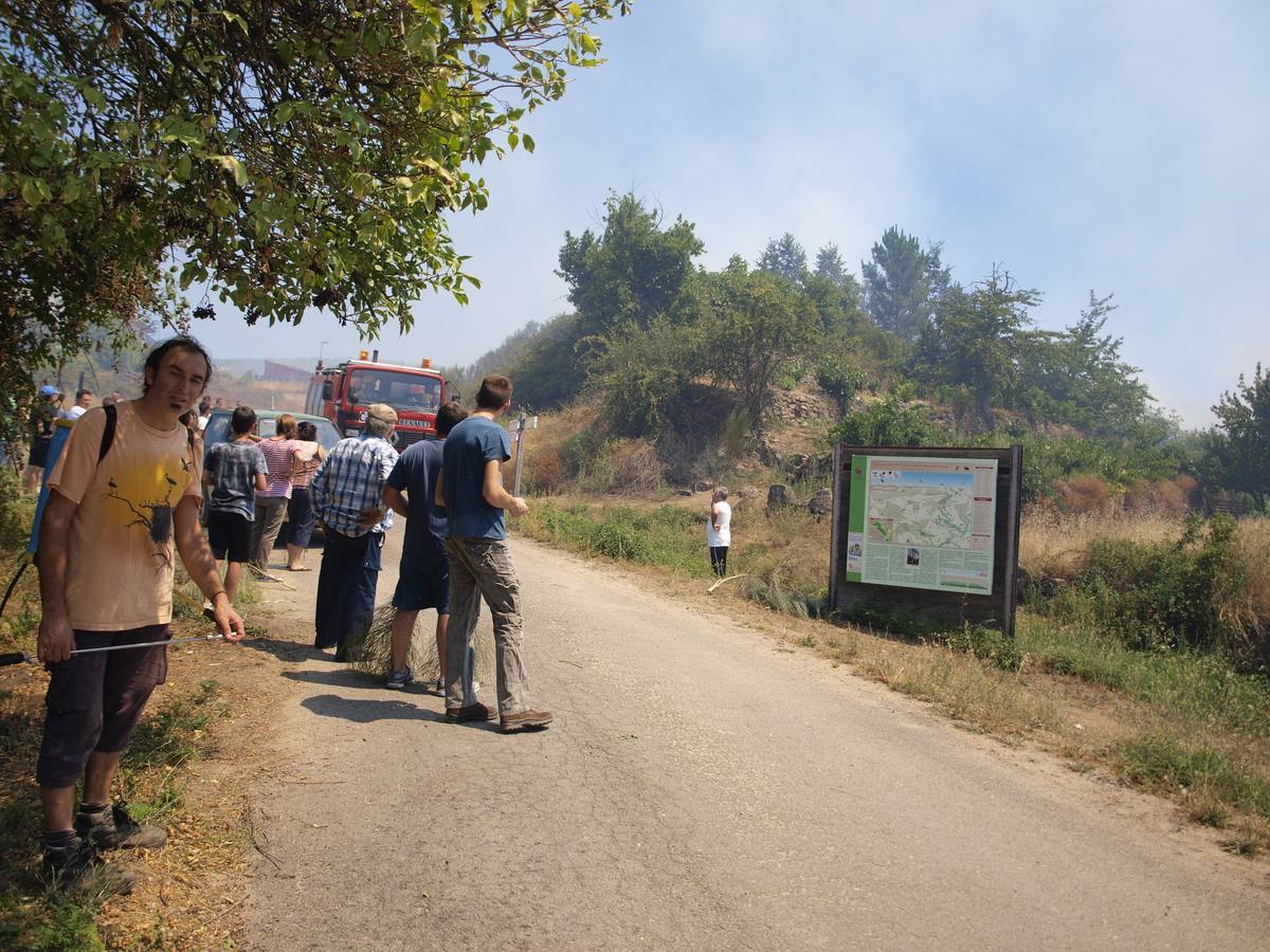 Incendio en Cepeda (Salamanca) 1/2