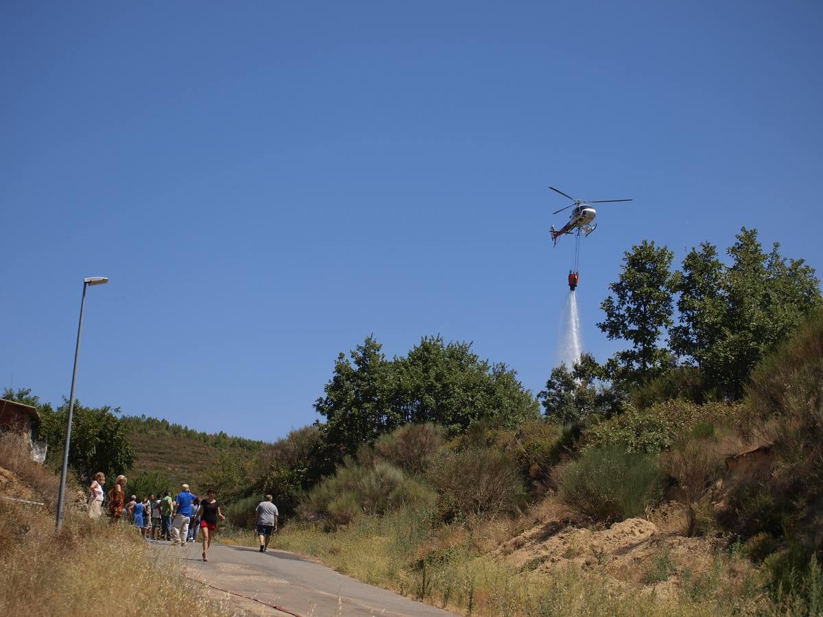 Incendio en Cepeda (Salamanca) 1/2