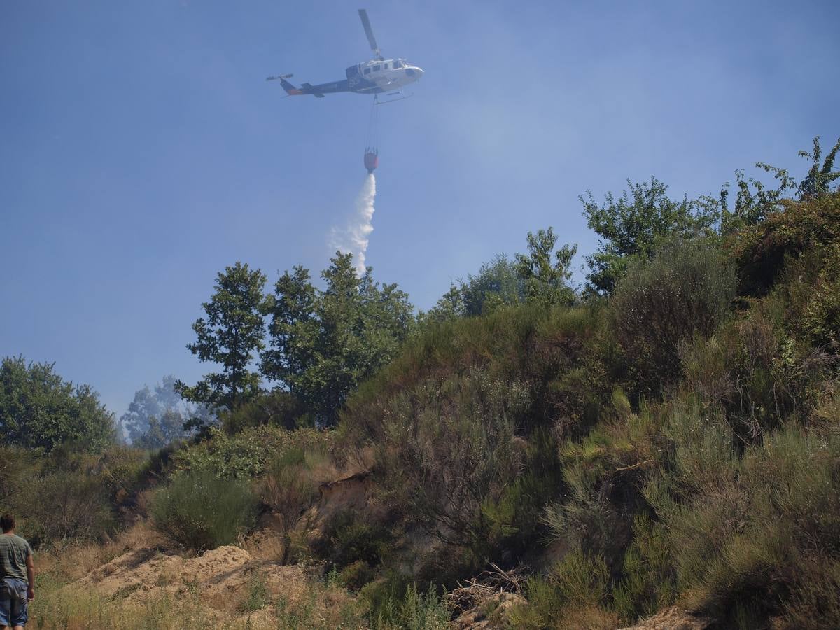 Incendio en Cepeda (Salamanca) 1/2