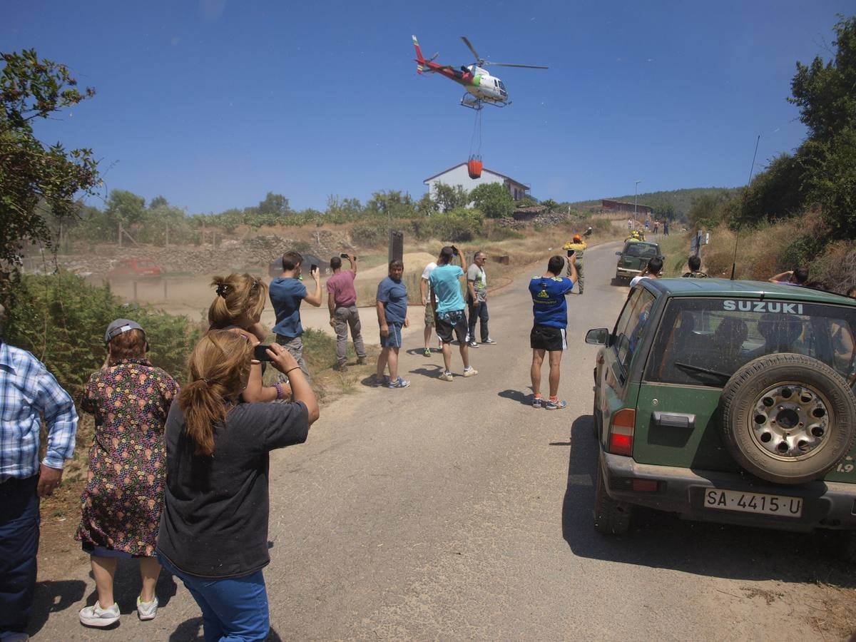 Incendio en Cepeda (Salamanca) 1/2
