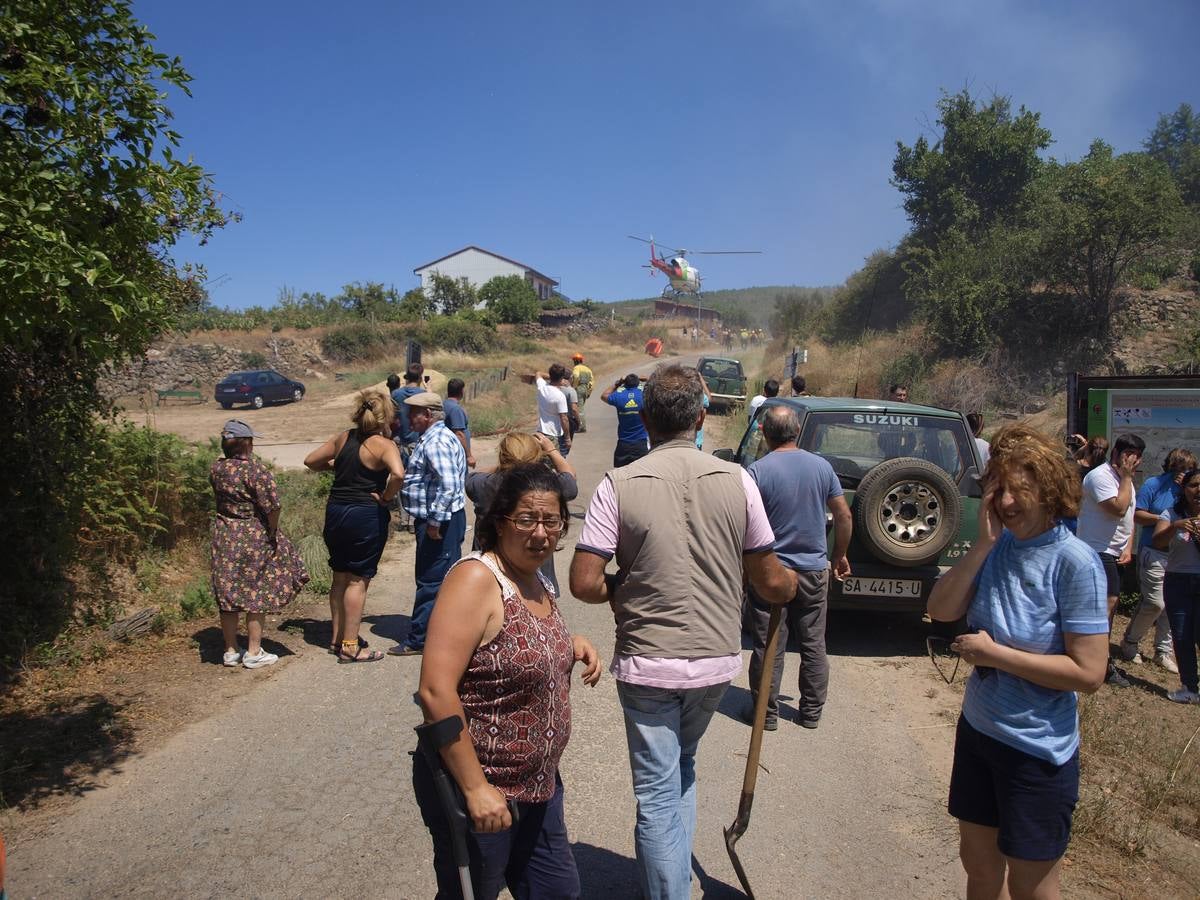Incendio en Cepeda (Salamanca) 1/2