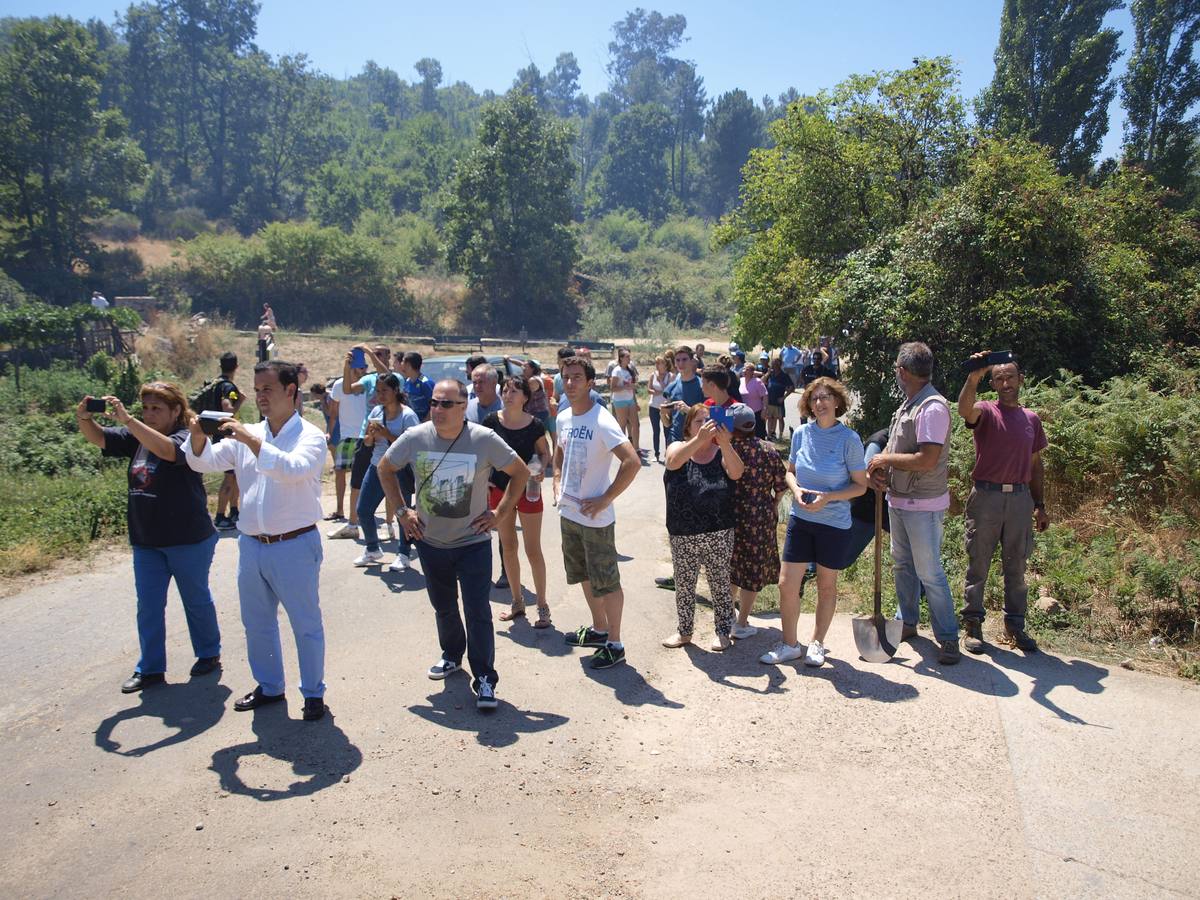Incendio en Cepeda (Salamanca) 1/2