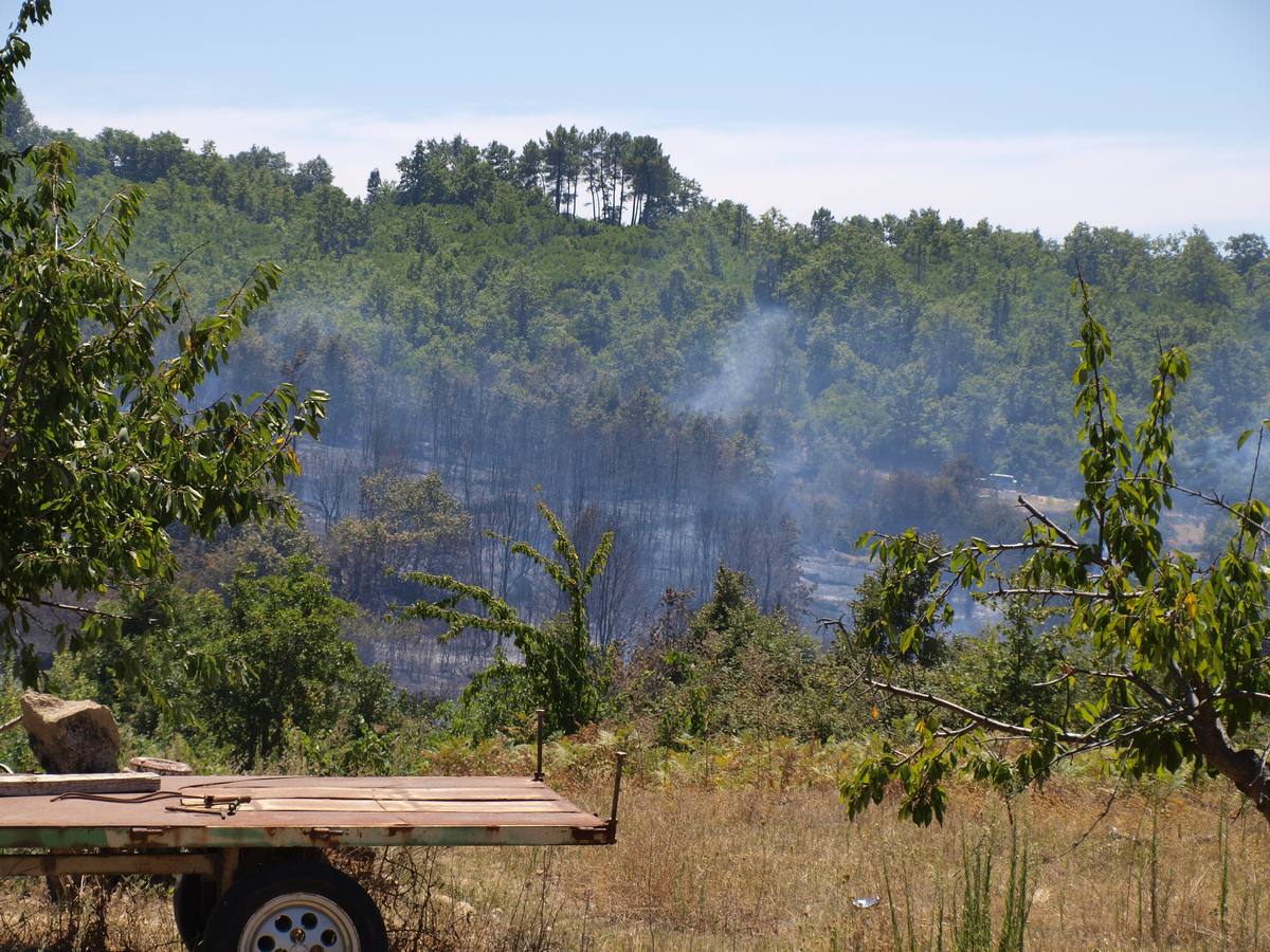 Incendio en Cepeda (Salamanca) 1/2