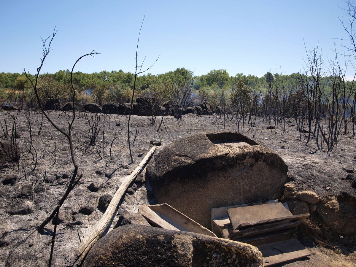 Incendio en Cepeda (Salamanca) 1/2