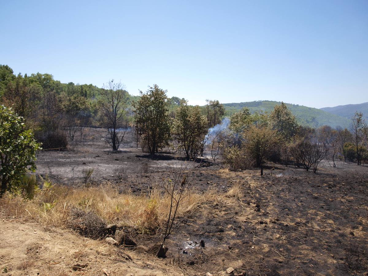 Incendio en Cepeda (Salamanca) 2/2