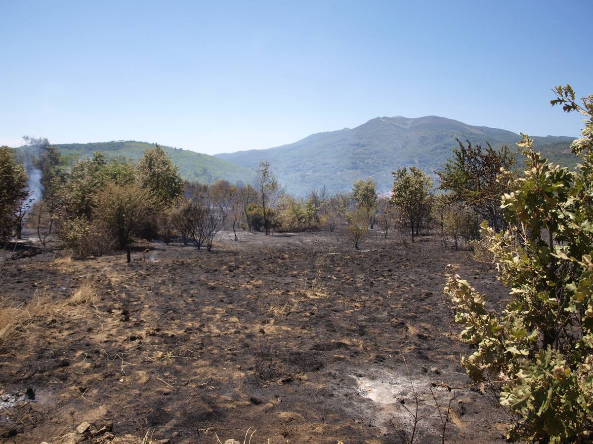 Incendio en Cepeda (Salamanca) 2/2