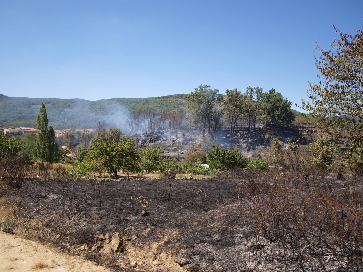 Incendio en Cepeda (Salamanca) 2/2