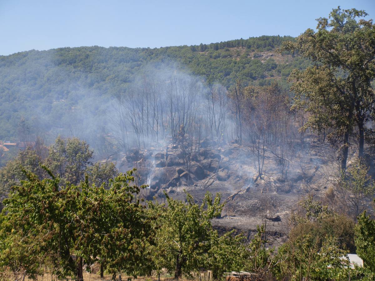 Incendio en Cepeda (Salamanca) 2/2