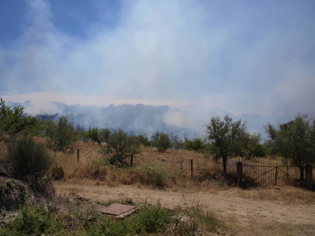 Incendio en Cepeda (Salamanca) 2/2