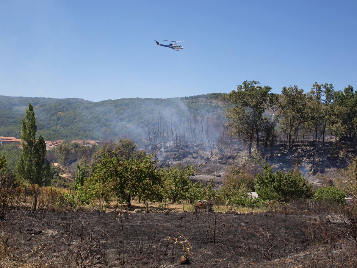 Incendio en Cepeda (Salamanca) 2/2
