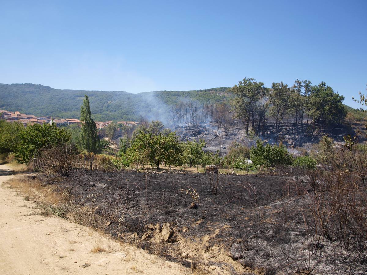Incendio en Cepeda (Salamanca) 2/2