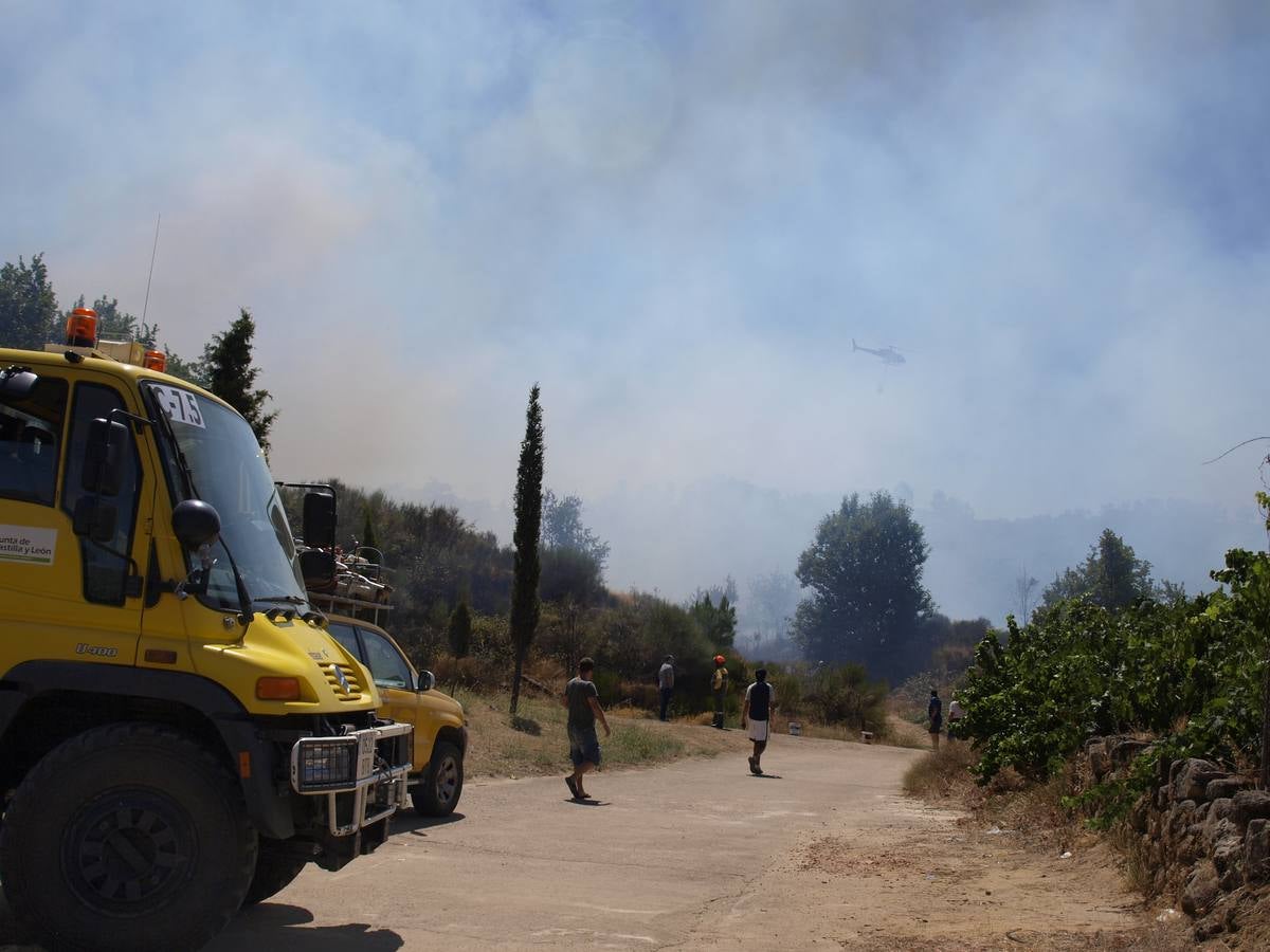 Incendio en Cepeda (Salamanca) 2/2