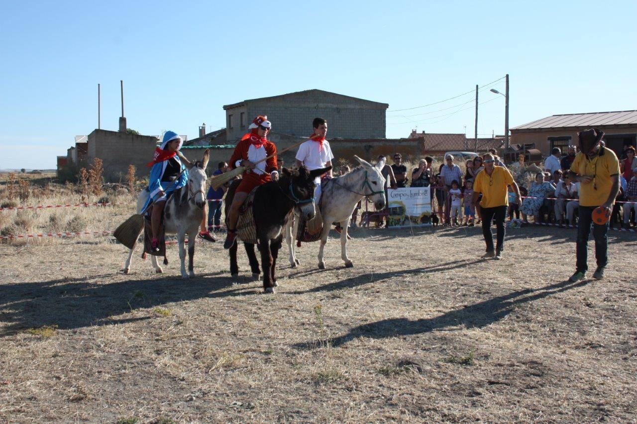 Burro-polo en Benafarces (Valladolid)