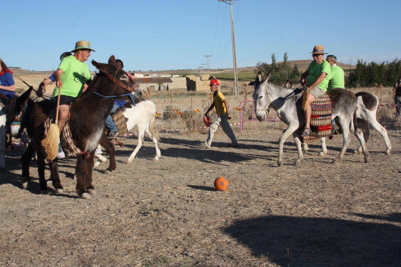 Burro-polo en Benafarces (Valladolid)