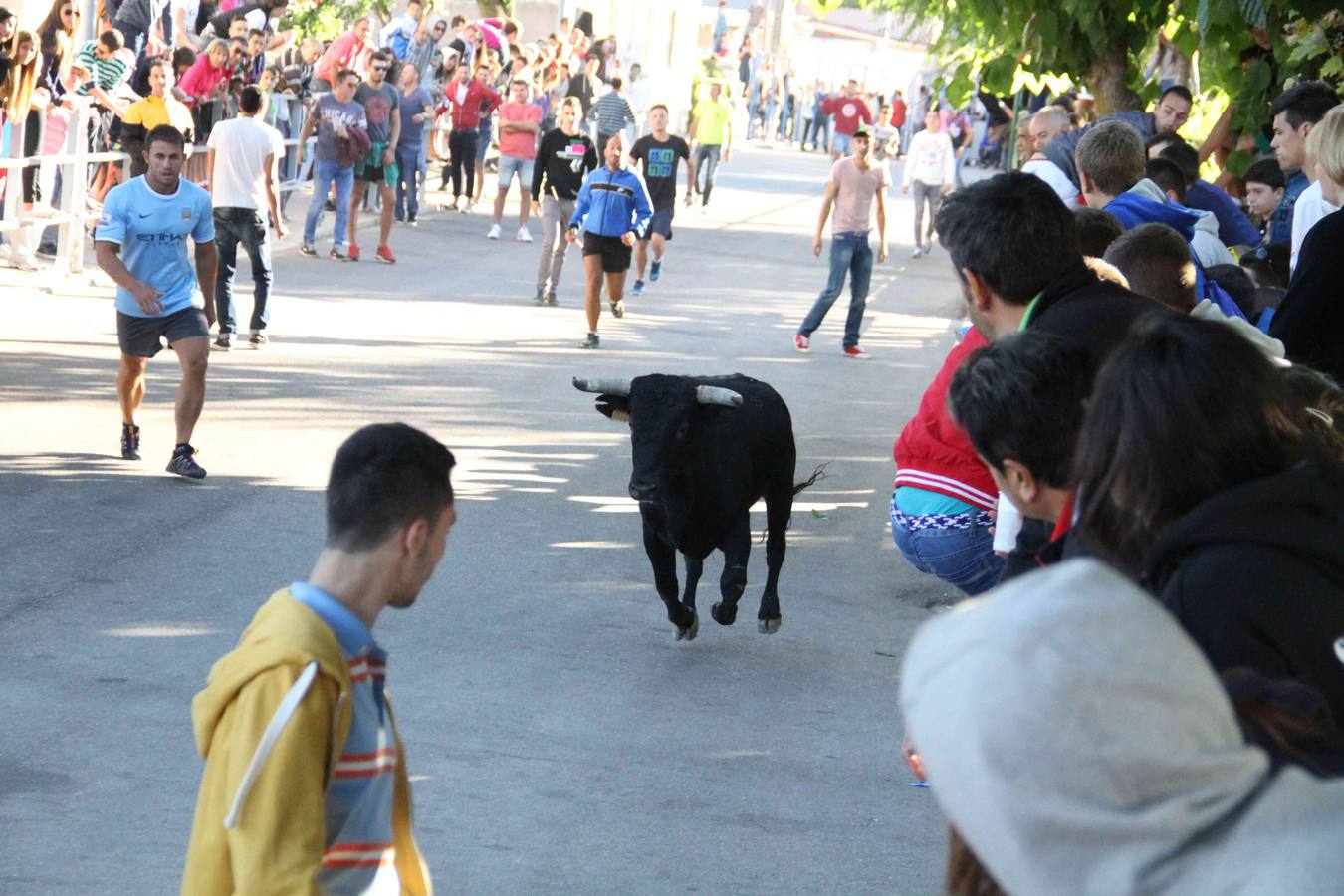 Encierro y capea en Campaspero (Valladolid) 1/2