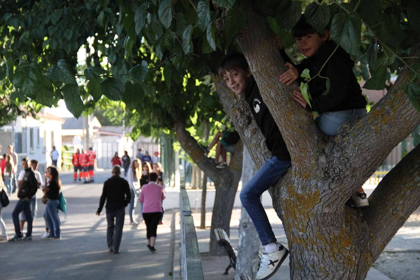 Encierro y capea en Campaspero (Valladolid) 1/2
