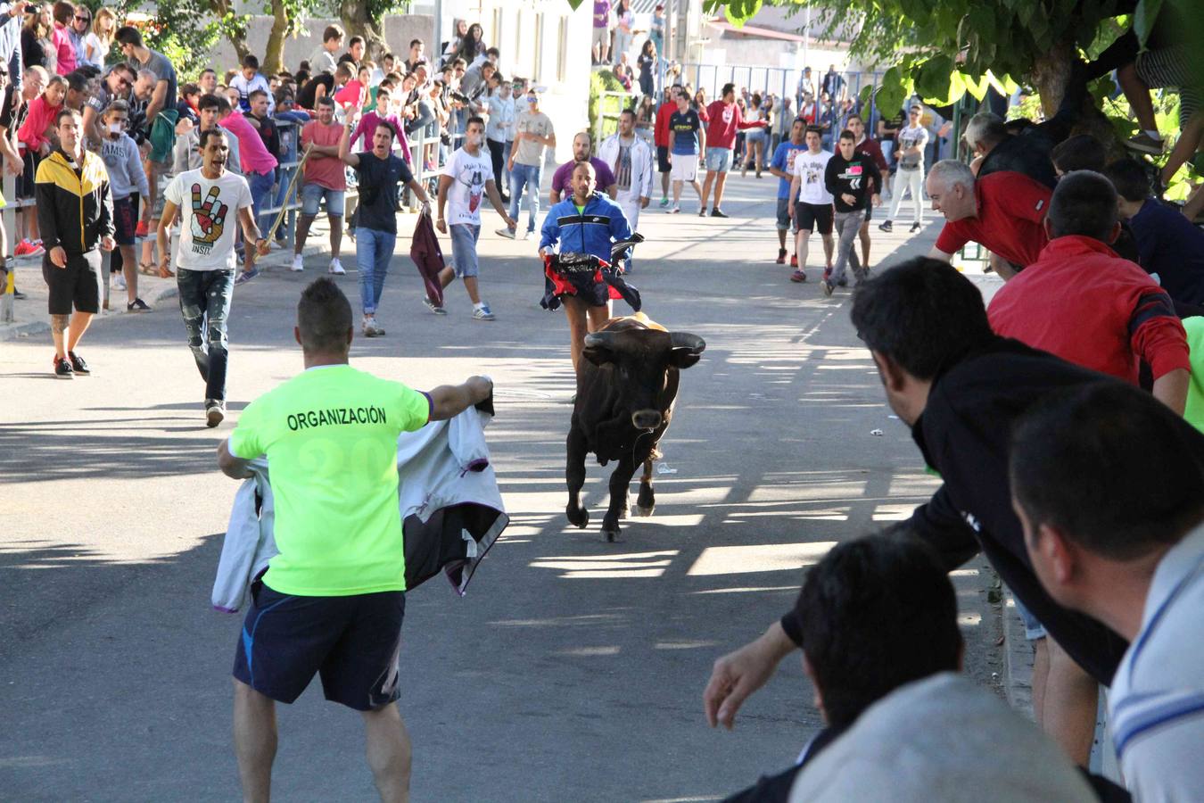 Encierro y capea en Campaspero (Valladolid) 1/2