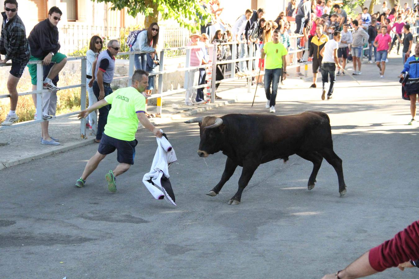 Encierro y capea en Campaspero (Valladolid) 1/2