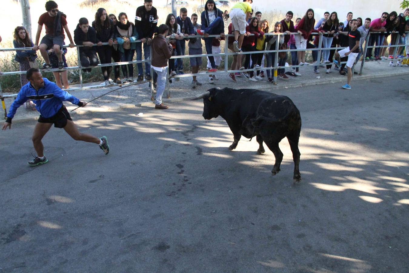 Encierro y capea en Campaspero (Valladolid) 1/2