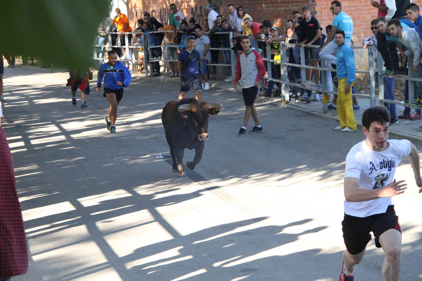 Encierro y capea en Campaspero (Valladolid) 2/2