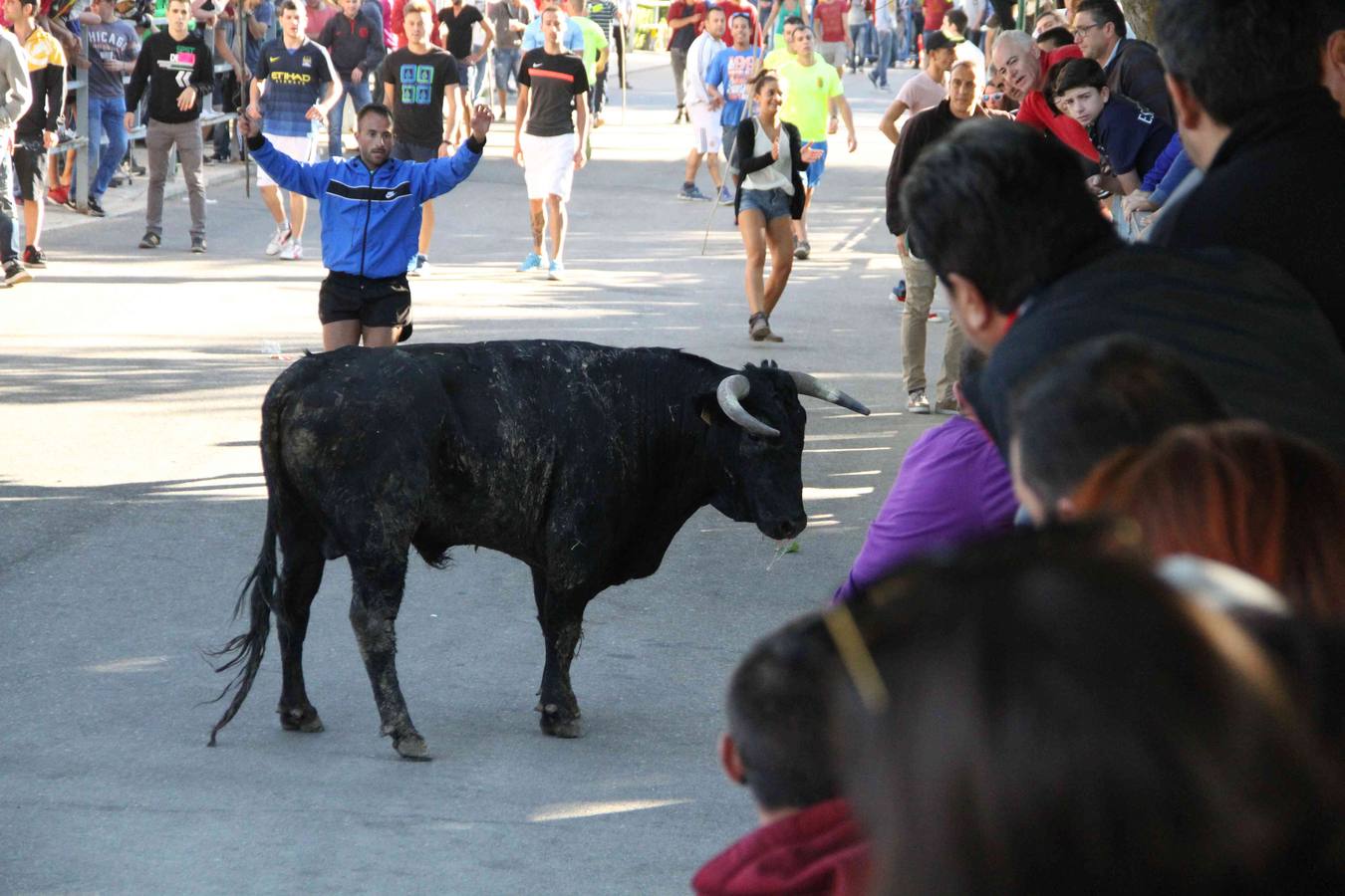 Encierro y capea en Campaspero (Valladolid) 2/2