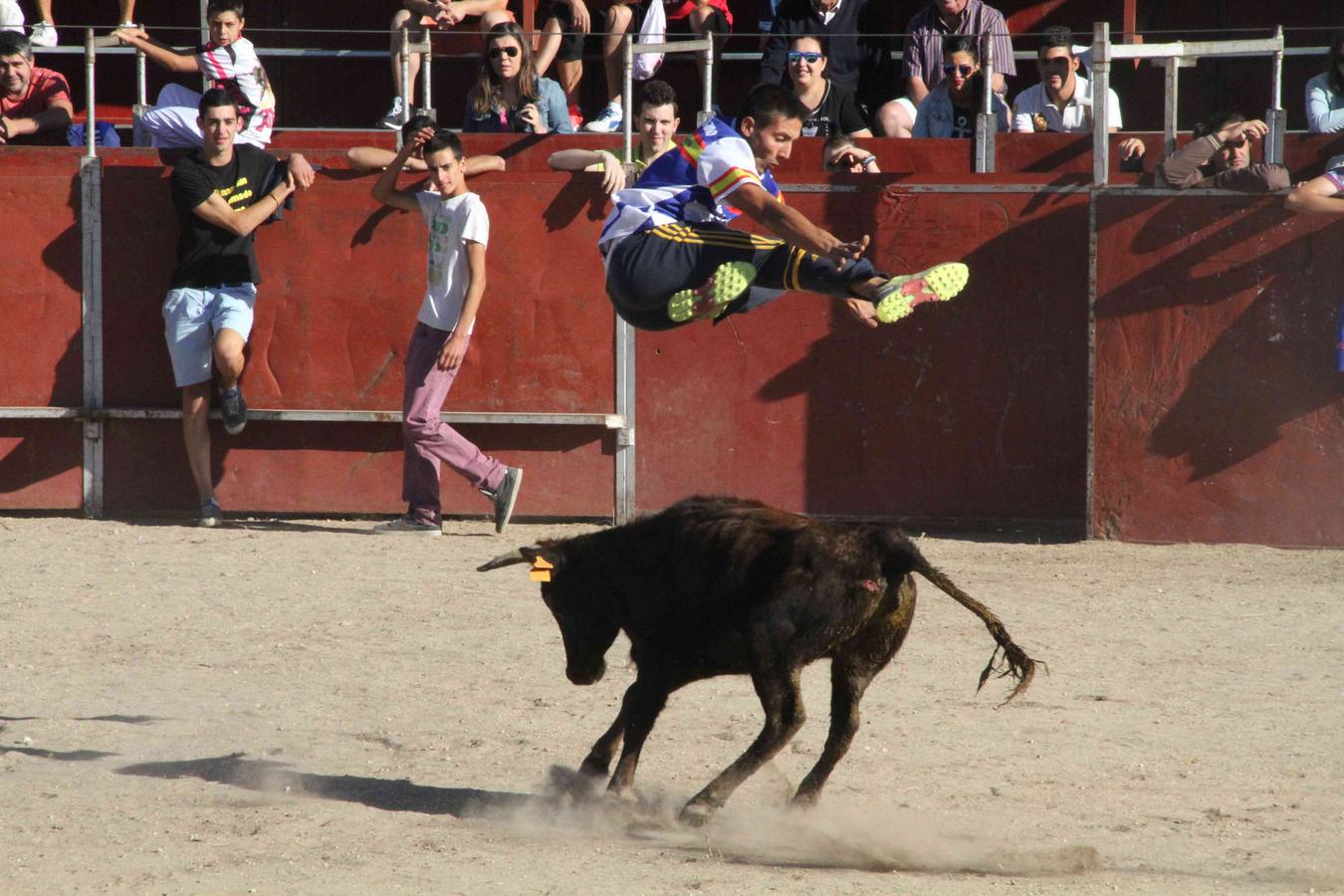 Encierro y capea en Campaspero (Valladolid) 2/2