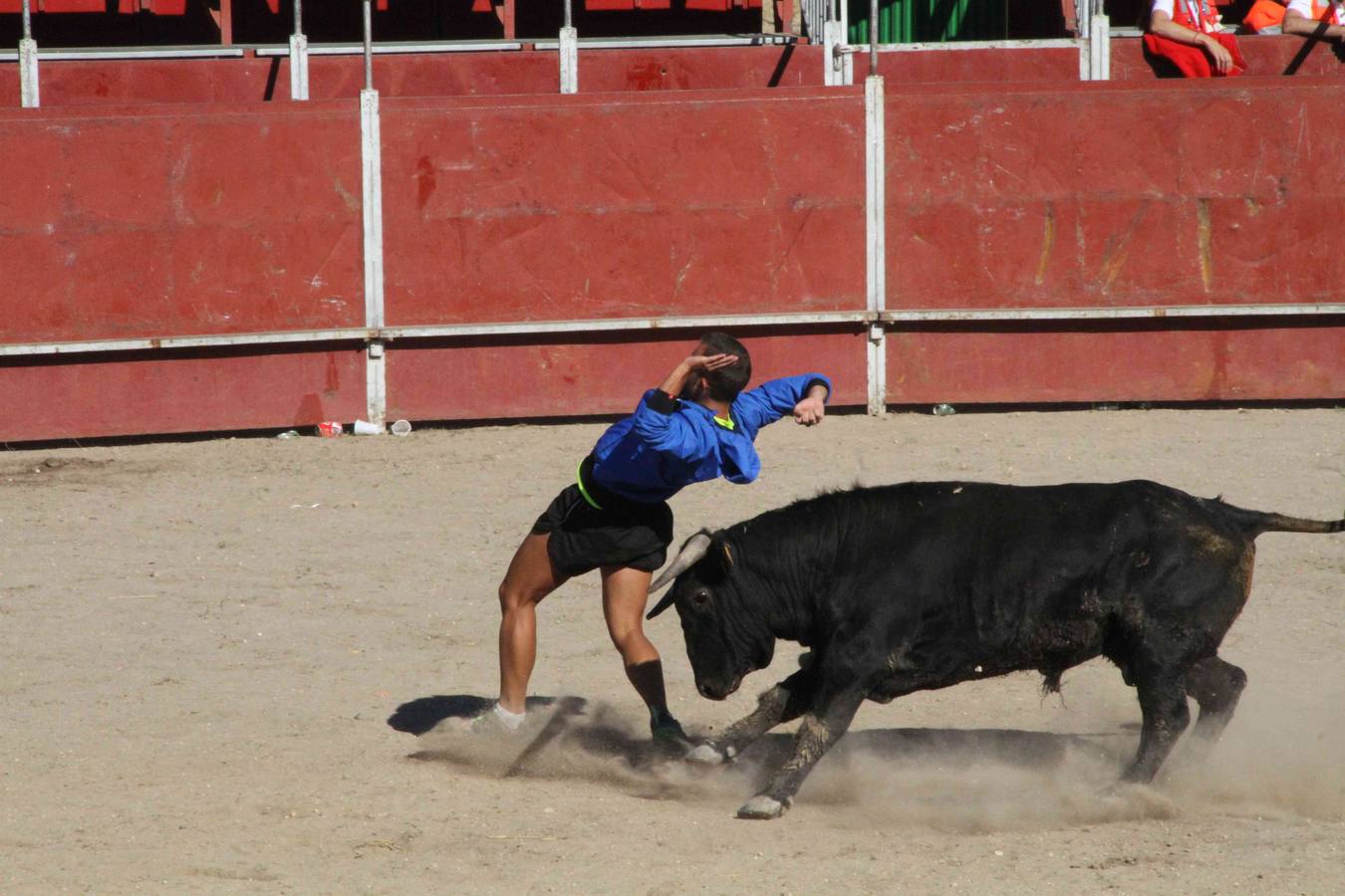 Encierro y capea en Campaspero (Valladolid) 2/2