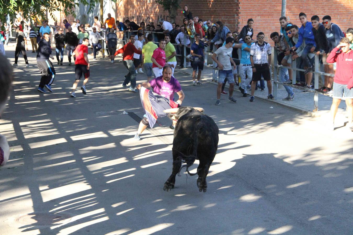 Encierro y capea en Campaspero (Valladolid) 2/2
