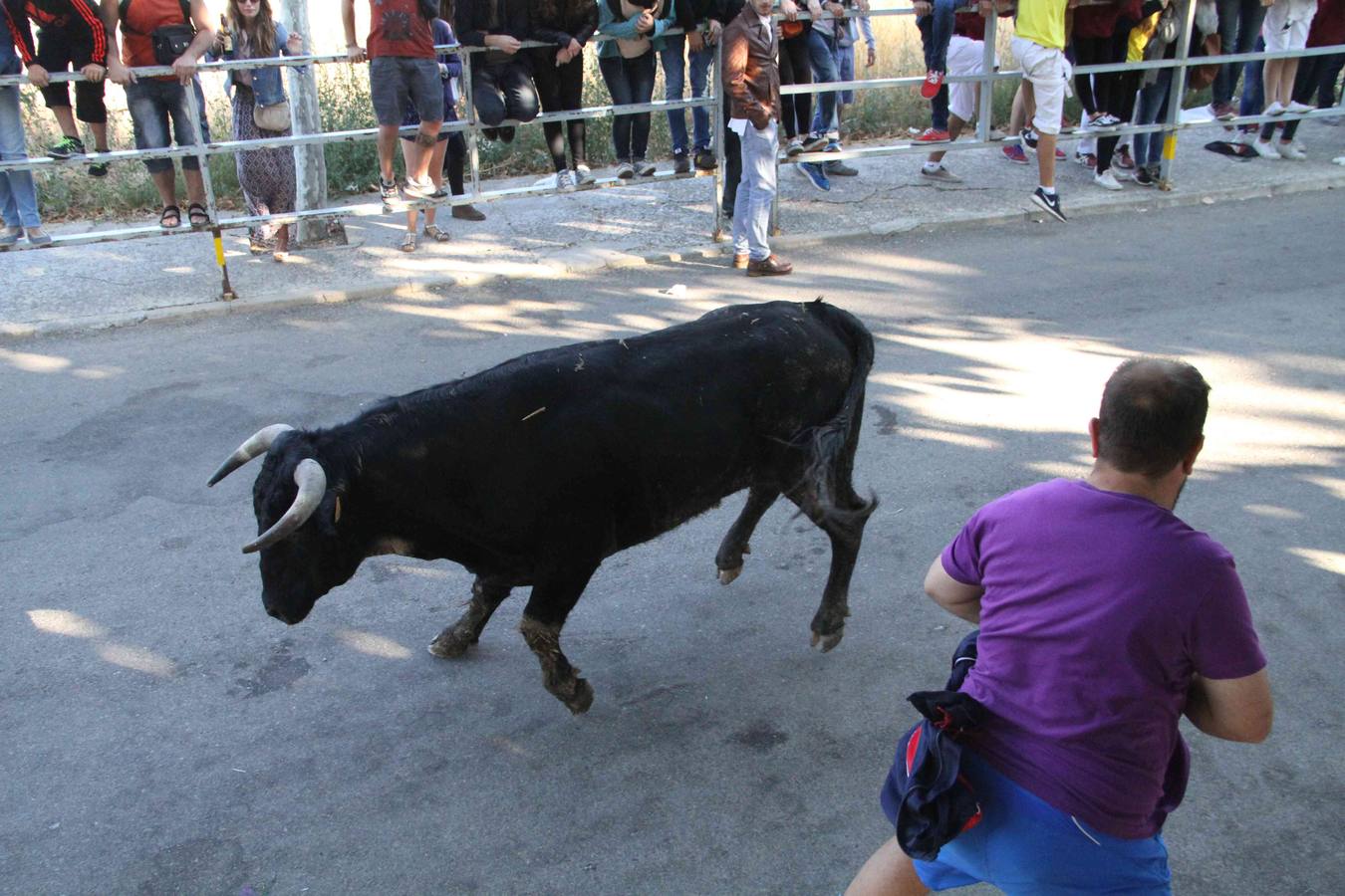 Encierro y capea en Campaspero (Valladolid) 2/2