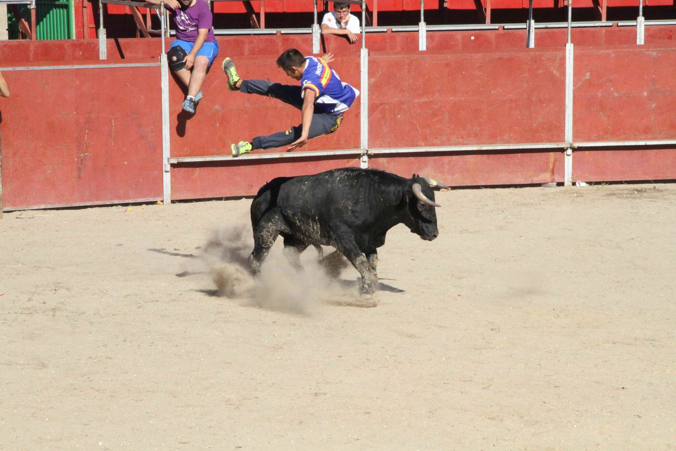 Encierro y capea en Campaspero (Valladolid) 2/2