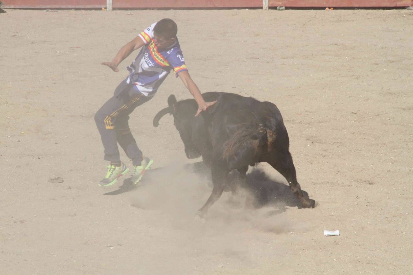 Encierro y capea en Campaspero (Valladolid) 2/2