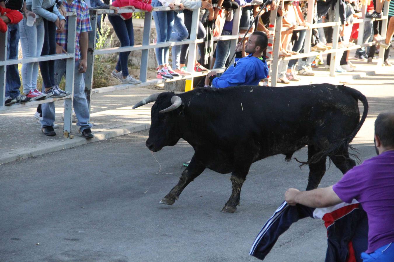 Encierro y capea en Campaspero (Valladolid) 2/2