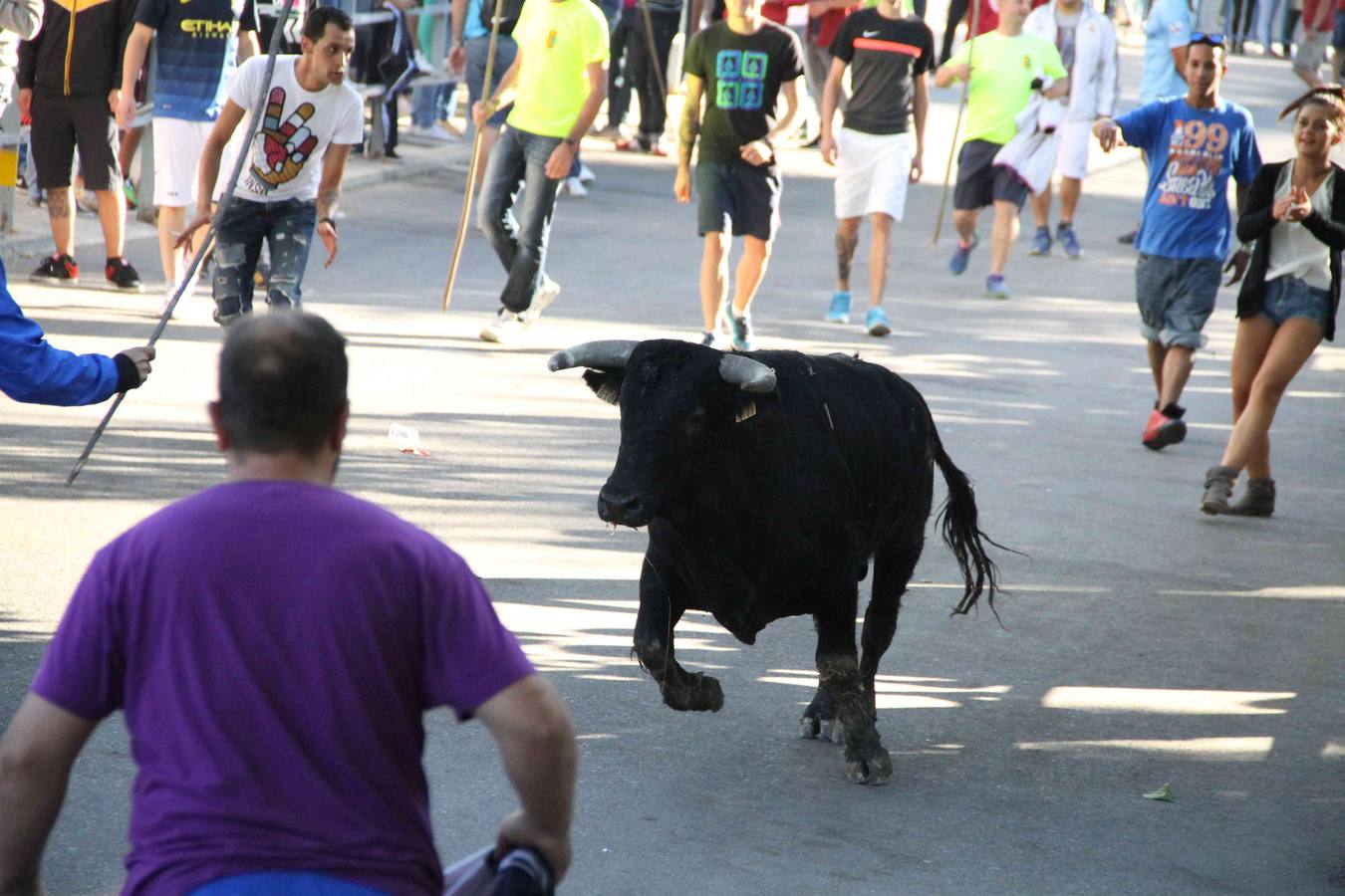 Encierro y capea en Campaspero (Valladolid) 2/2