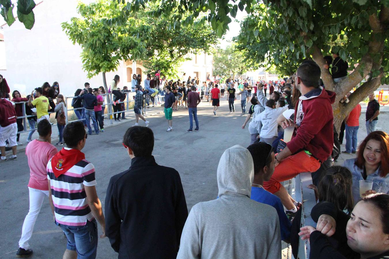 Encierro y capea en Campaspero (Valladolid) 2/2