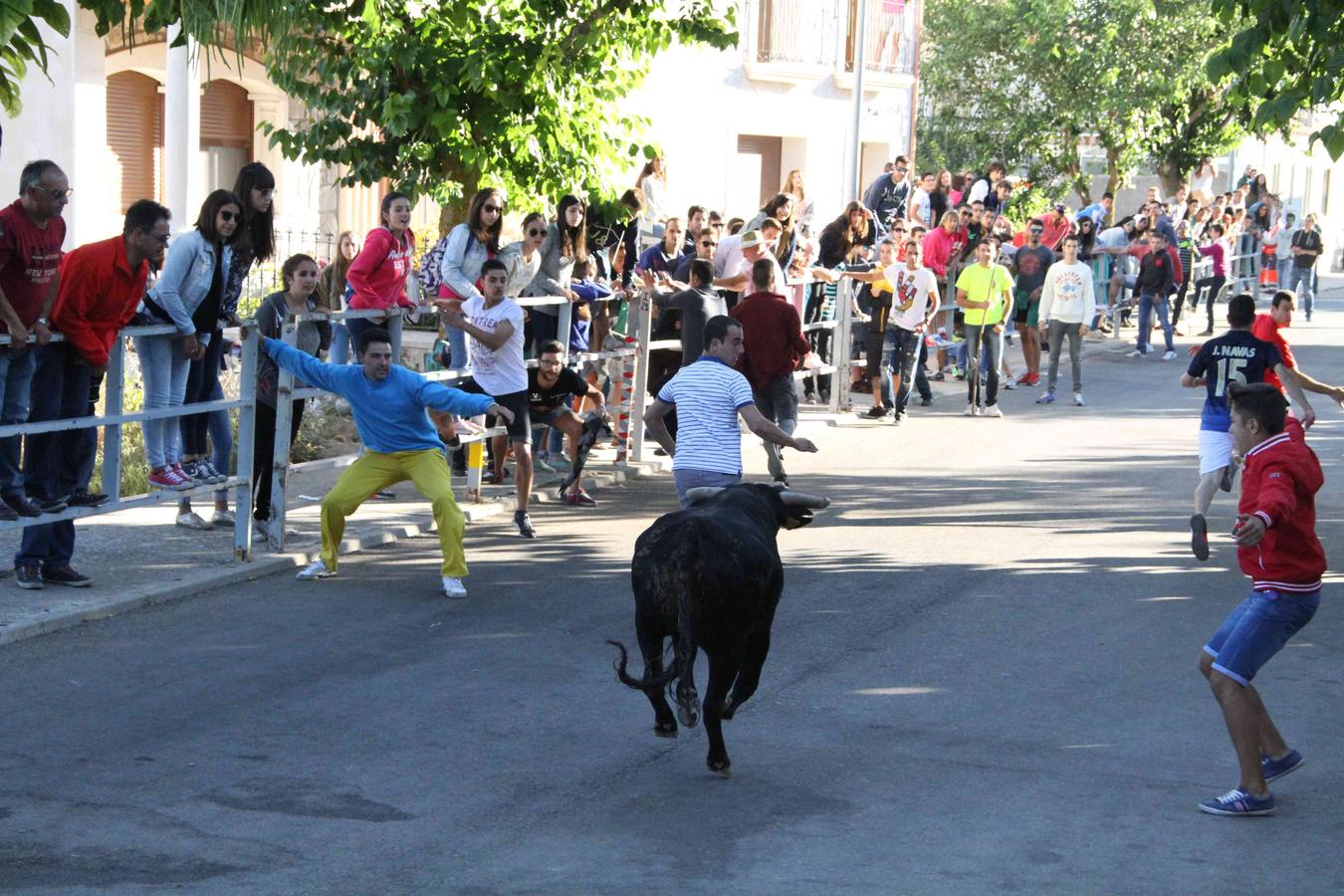 Encierro y capea en Campaspero (Valladolid) 2/2