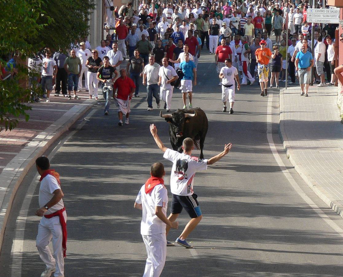 Tudela de Duero. Toro del Alba.