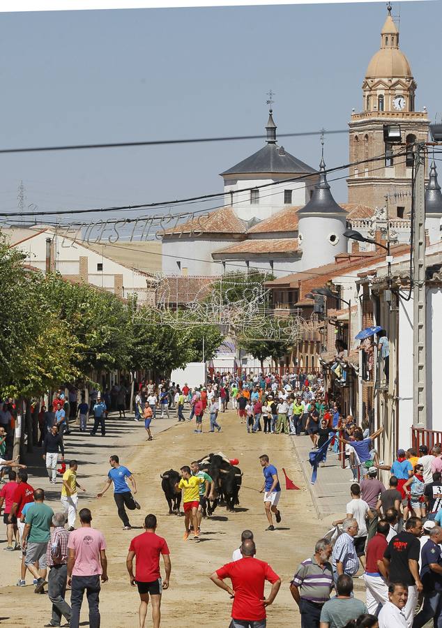 Rueda. Encierros por las calles de la localidad.