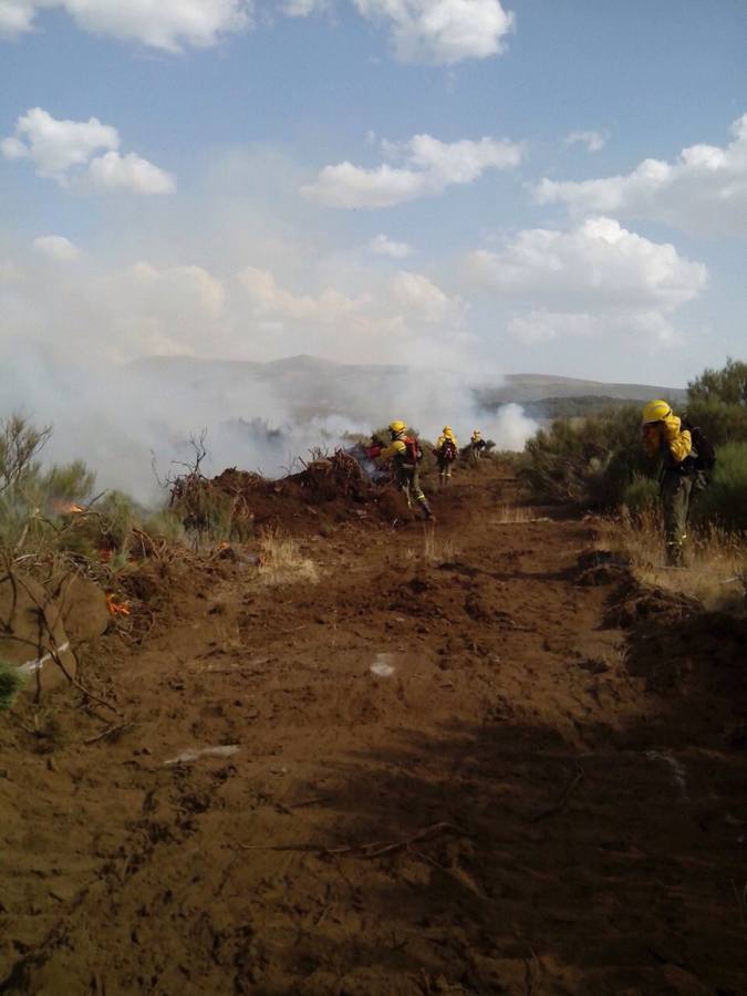 Labores de extinción del incendio declarado en Candeleda (Ávila)