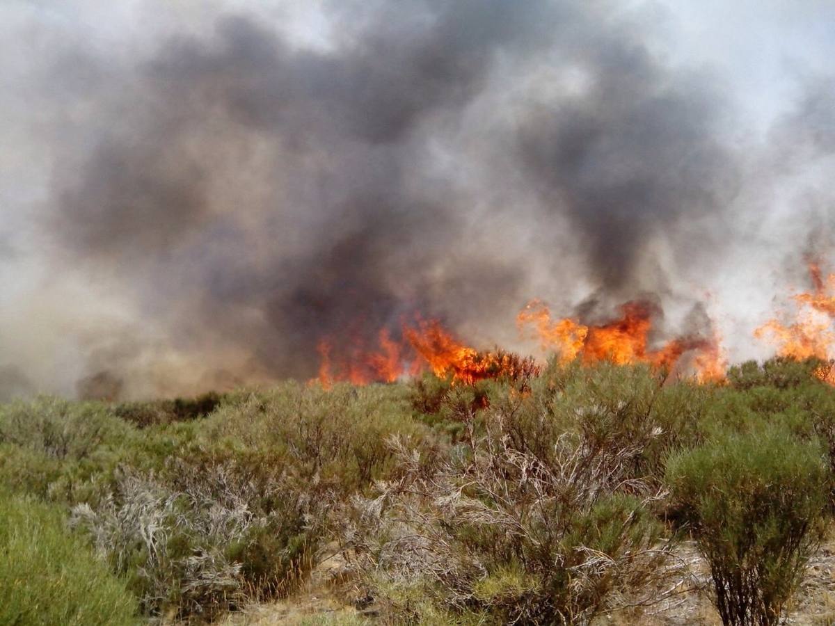 Labores de extinción del incendio declarado en Candeleda (Ávila)