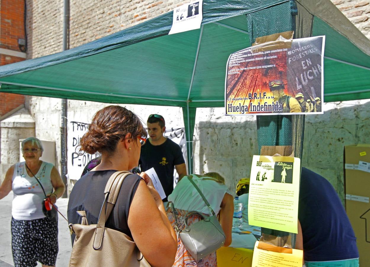 Brigadistas forestales recogen firmas en la calle Santiago de Valladolid