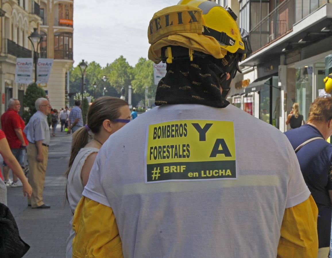 Brigadistas forestales recogen firmas en la calle Santiago de Valladolid
