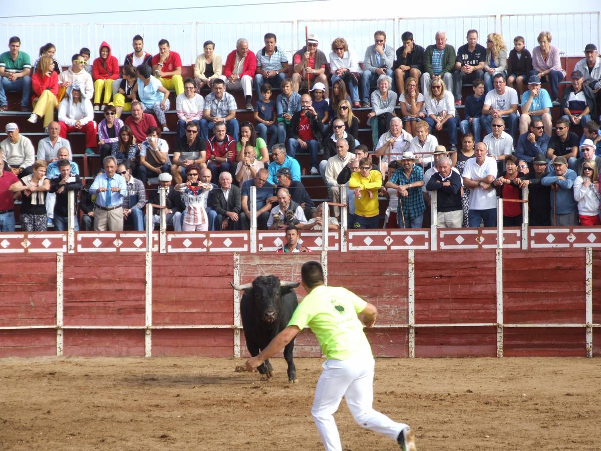 Exhibición de recortes en Cantalpino