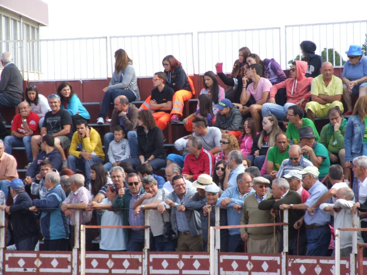 Exhibición de recortes en Cantalpino