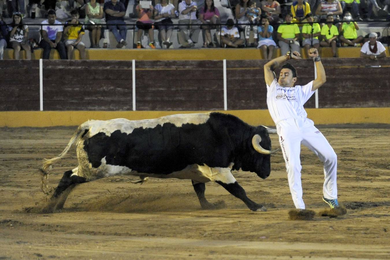 Concurso de Cortes en Pollos
