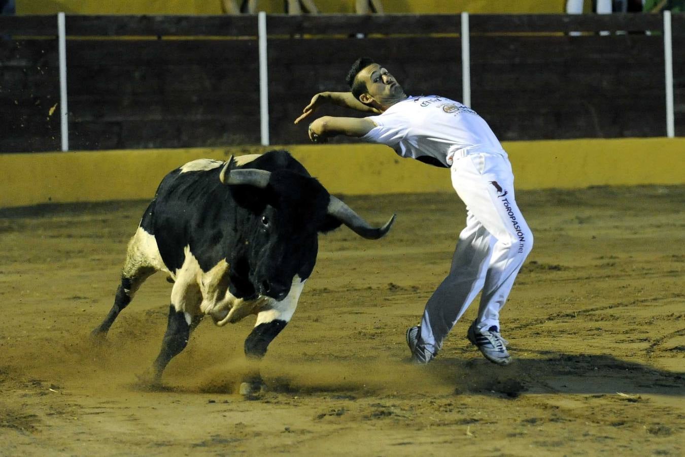 Concurso de Cortes en Pollos