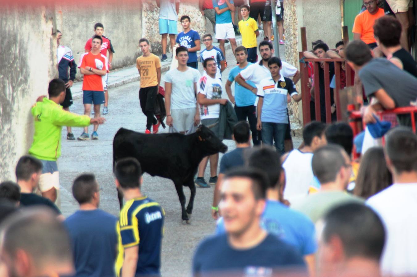 Primer encierro de las fiestas de Ciguñuela